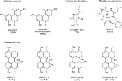 Quantitation of Six Alternaria Toxins in Infant Foods Applying Stable Isotope Labeled Standards